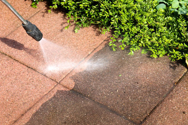 Best Local Pressure Washing Services  in Newberry, FL